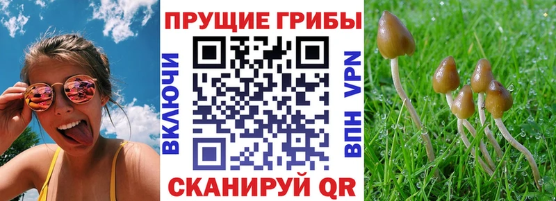 Галлюциногенные грибы мухоморы  Белореченск 